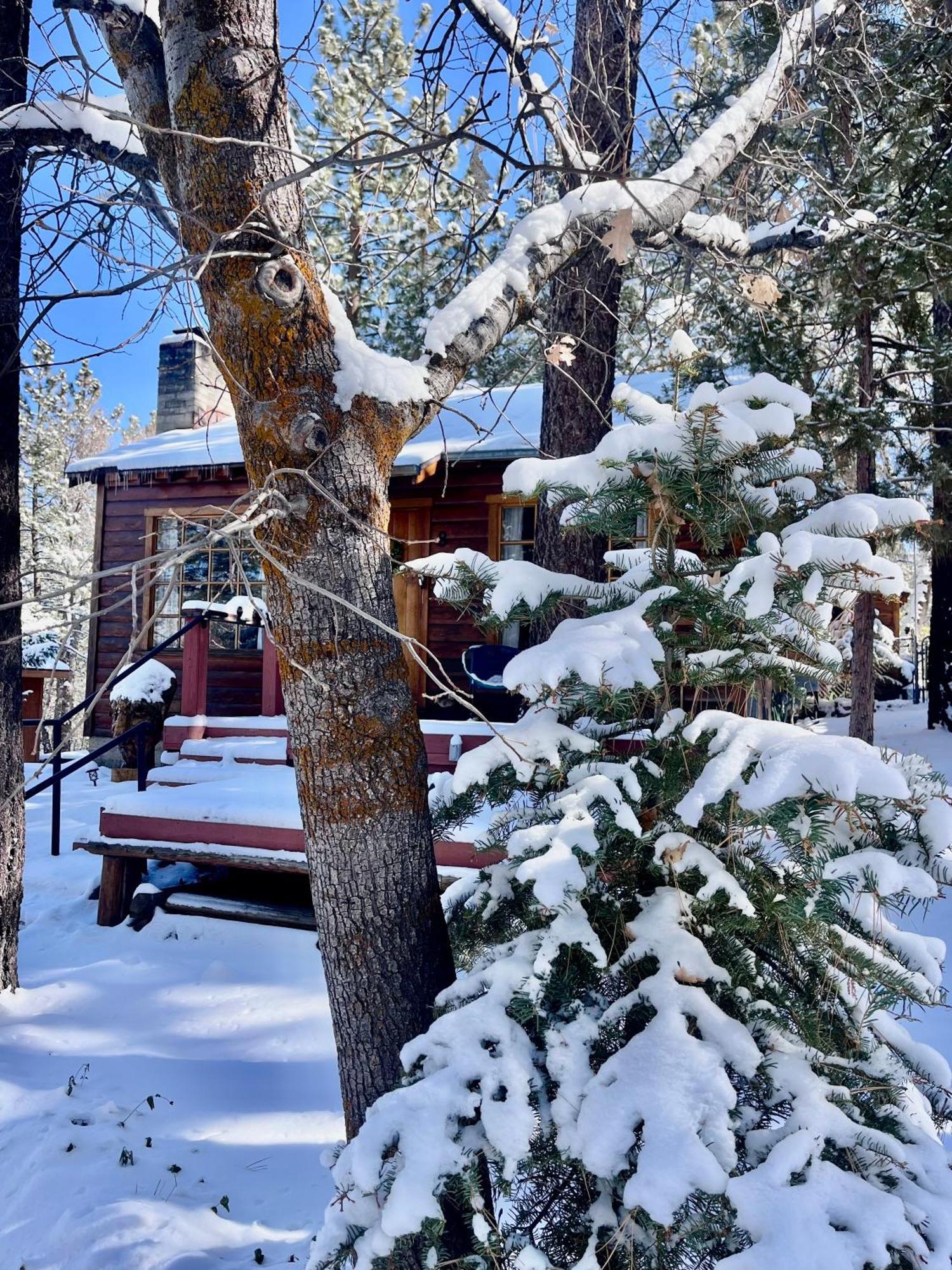 The Nest On Towne Trail - Hot Tub, Bbq, Fire Pit Villa Big Bear Lake Buitenkant foto